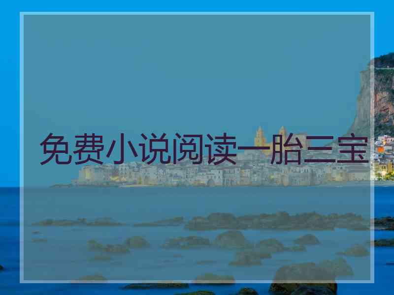 免费小说阅读一胎三宝