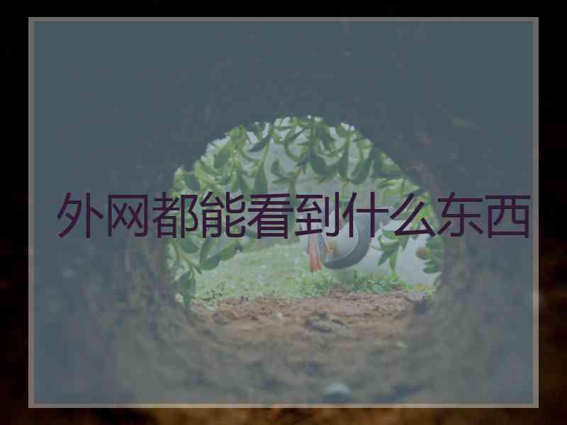 外网都能看到什么东西
