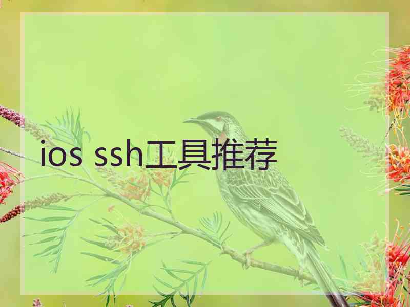 ios ssh工具推荐