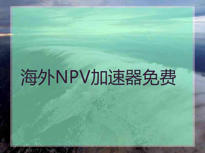 海外NPV加速器免费