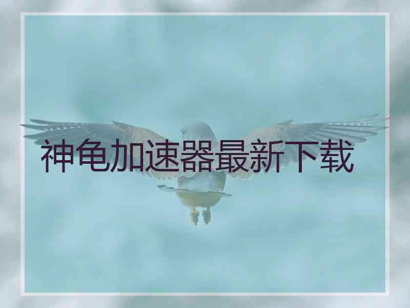 神龟加速器最新下载