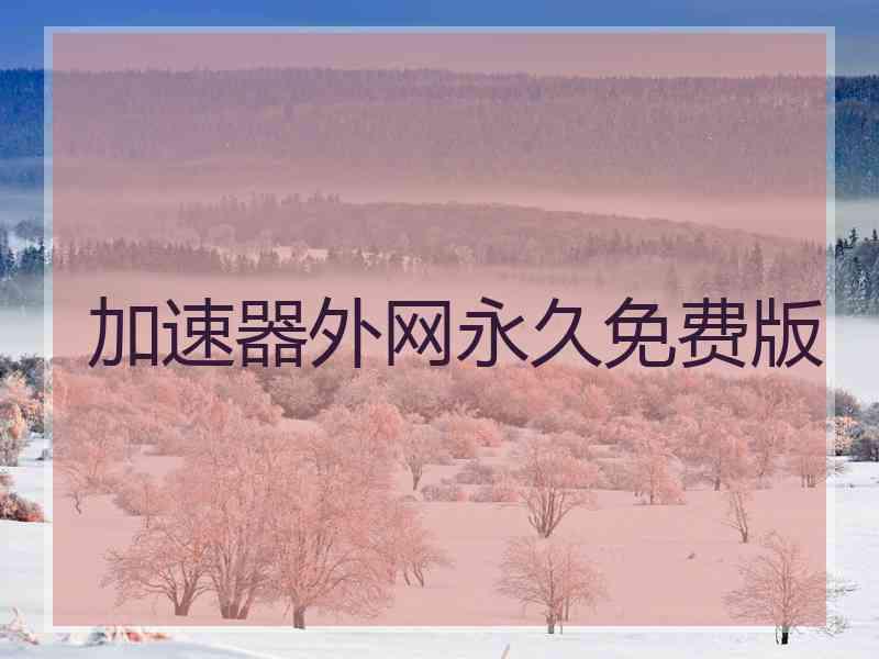 加速器外网永久免费版