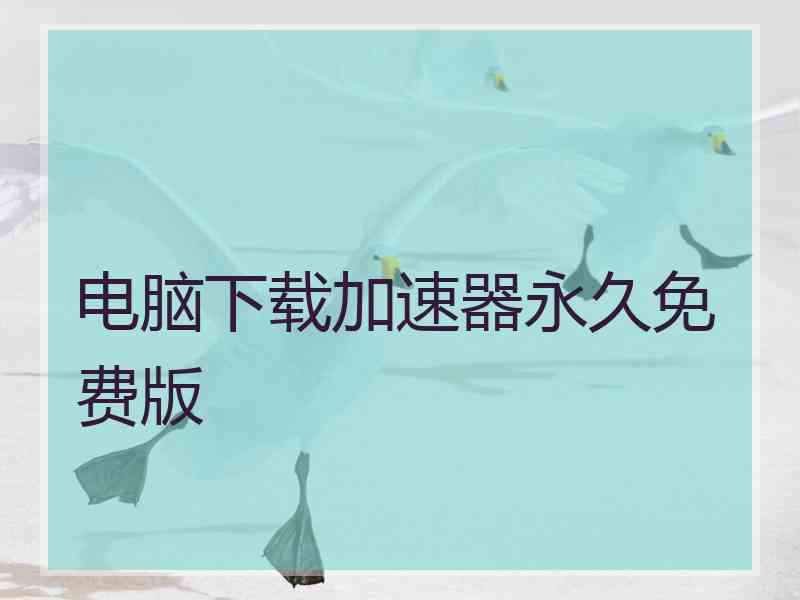电脑下载加速器永久免费版