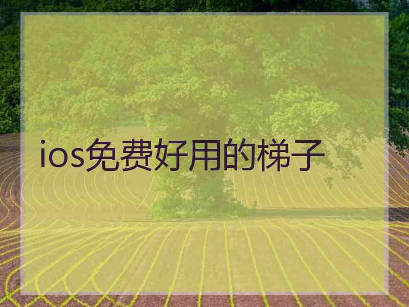ios免费好用的梯子