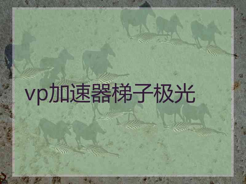 vp加速器梯子极光