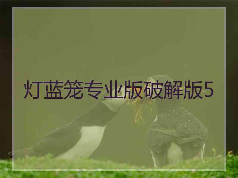 灯蓝笼专业版破解版5