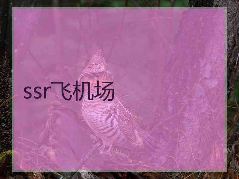 ssr飞机场