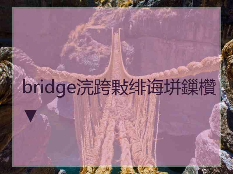 bridge浣跨敤绯诲垪鏁欑▼