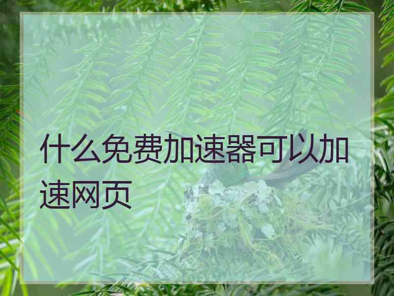 什么免费加速器可以加速网页