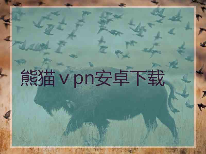 熊猫ⅴpn安卓下载