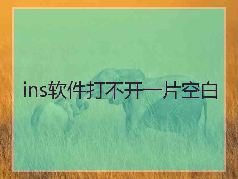 ins软件打不开一片空白