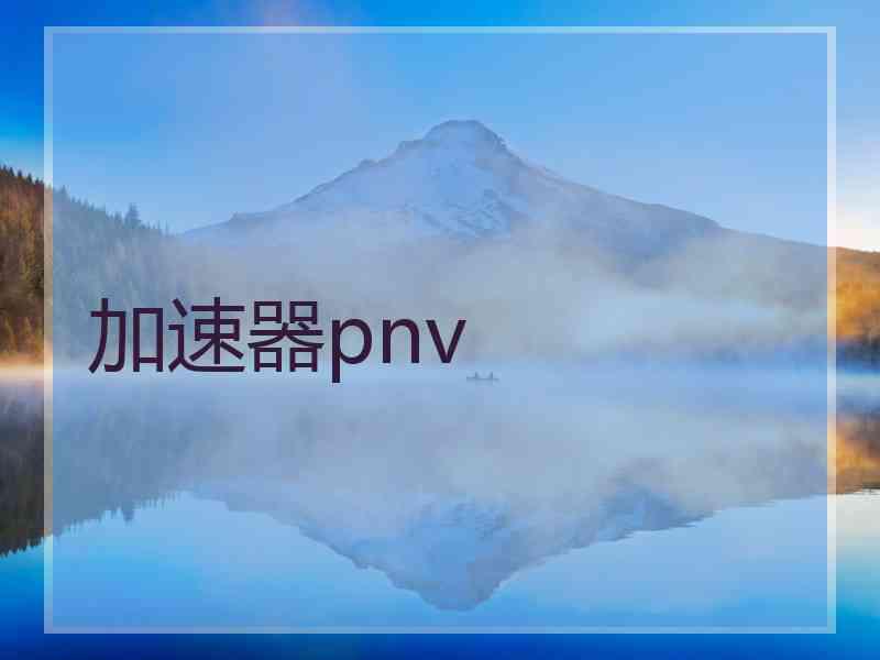 加速器pnv