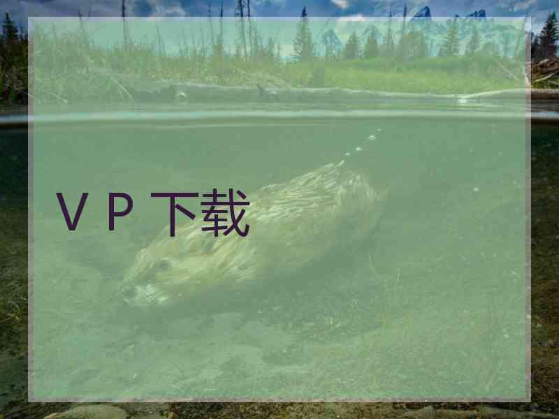 V P 下载