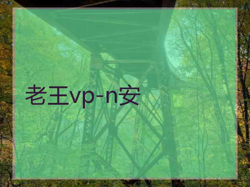 老王vp-n安