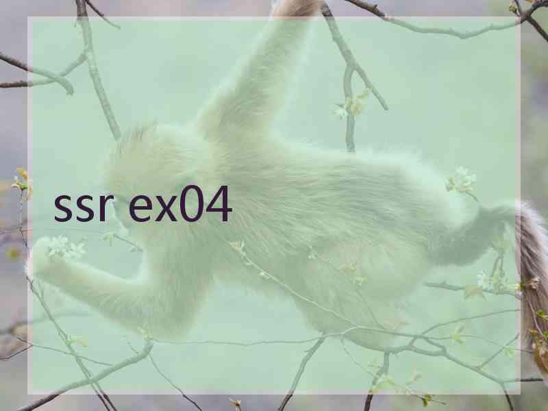 ssr ex04