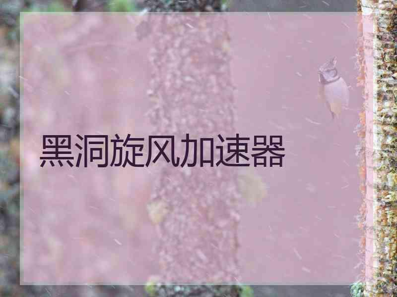 黑洞旋风加速器