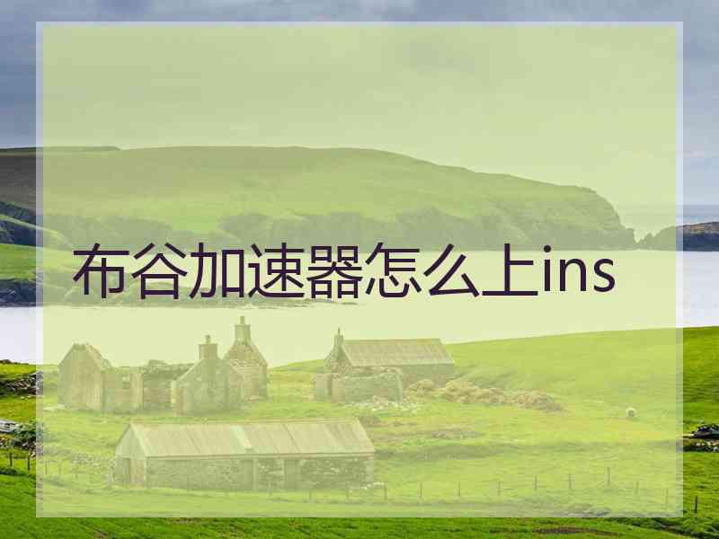 布谷加速器怎么上ins