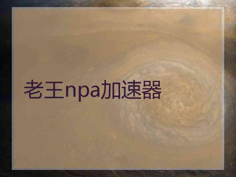 老王npa加速器