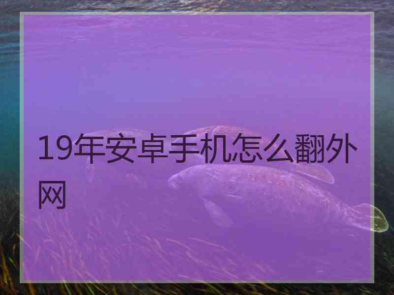 19年安卓手机怎么翻外网