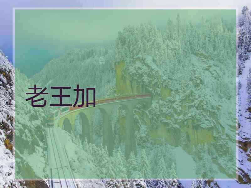 老王加
