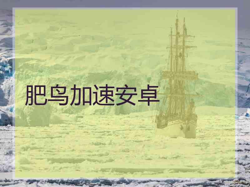 肥鸟加速安卓