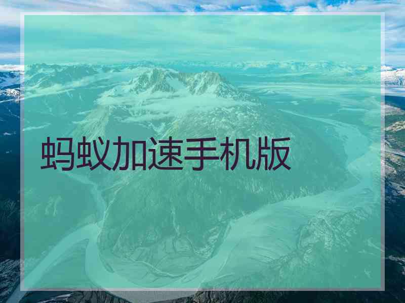 蚂蚁加速手机版