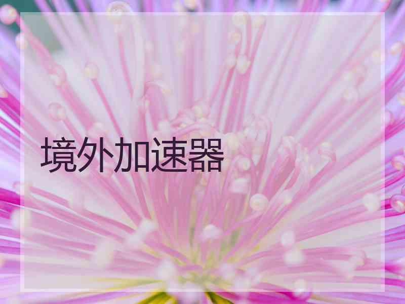 境外加速器