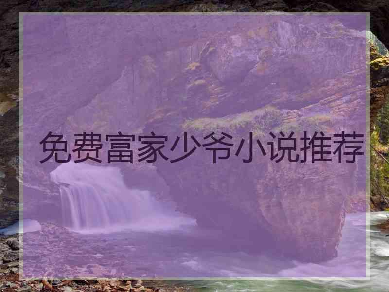 免费富家少爷小说推荐