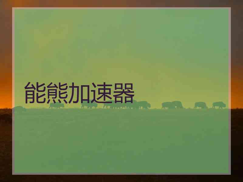 能熊加速器