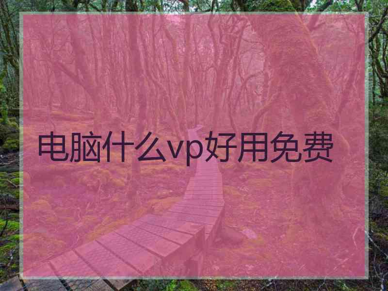 电脑什么vp好用免费