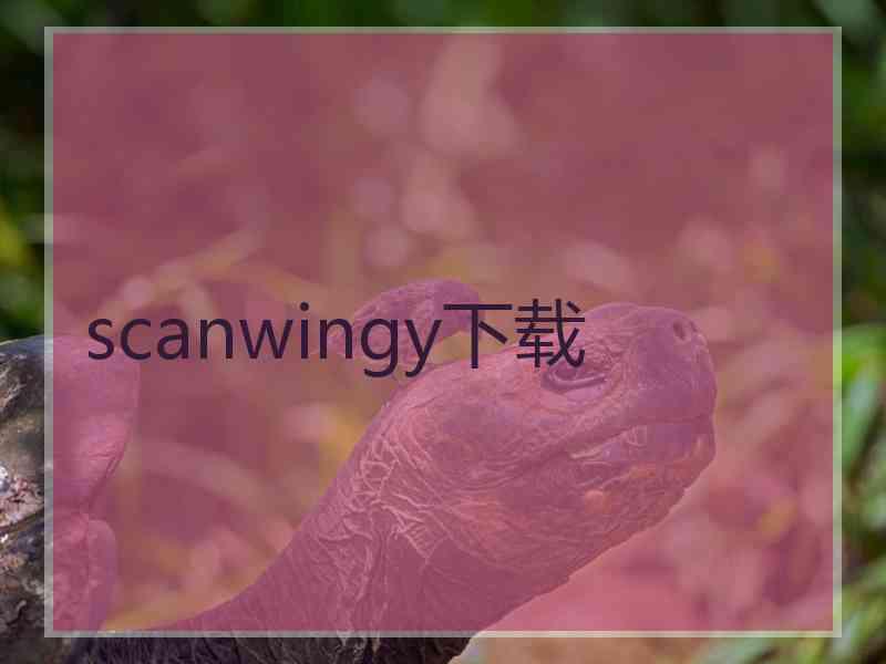 scanwingy下载
