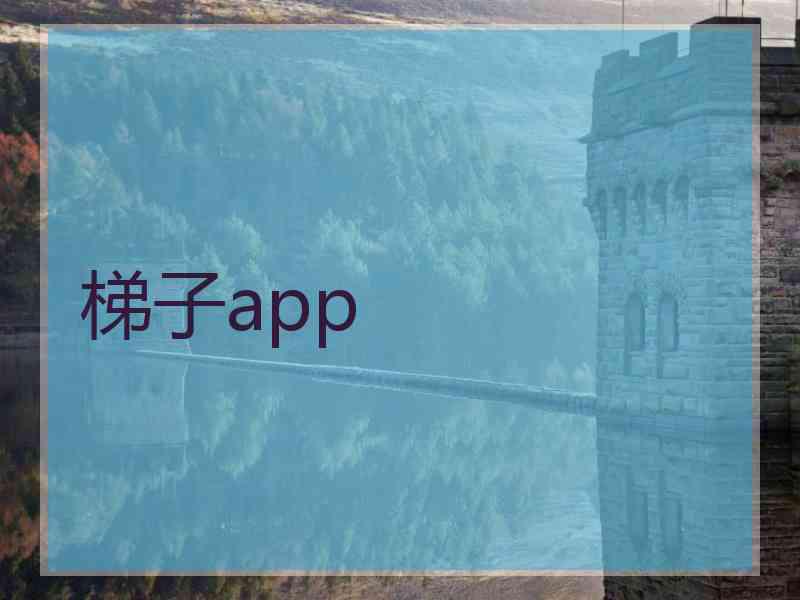 梯子app