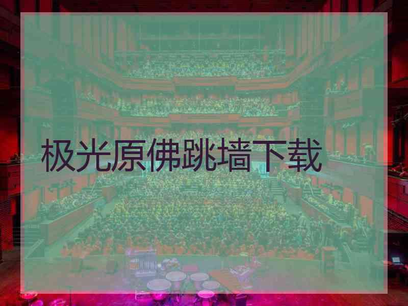 极光原佛跳墙下载