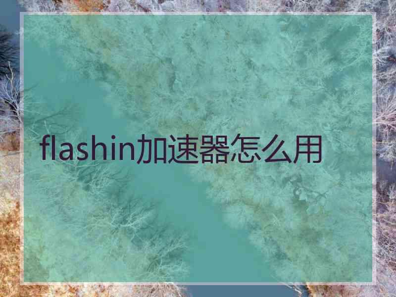 flashin加速器怎么用