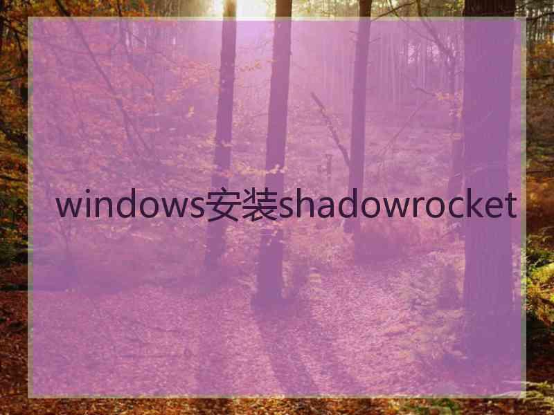windows安装shadowrocket
