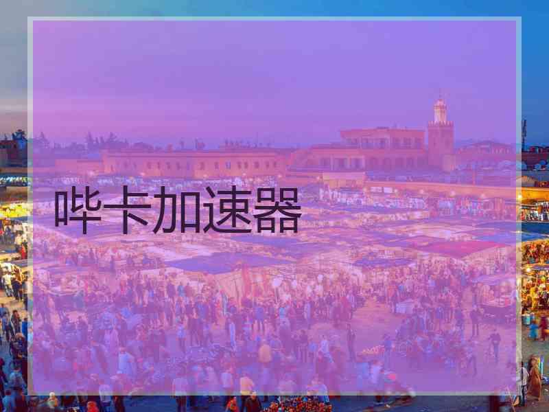 哔卡加速器