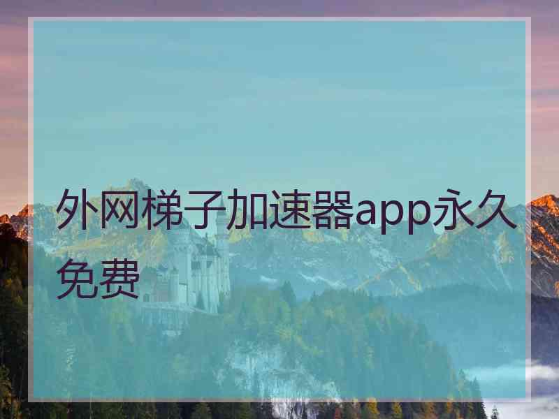 外网梯子加速器app永久免费