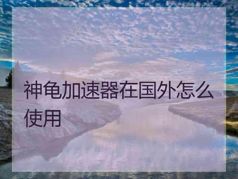 神龟加速器在国外怎么使用