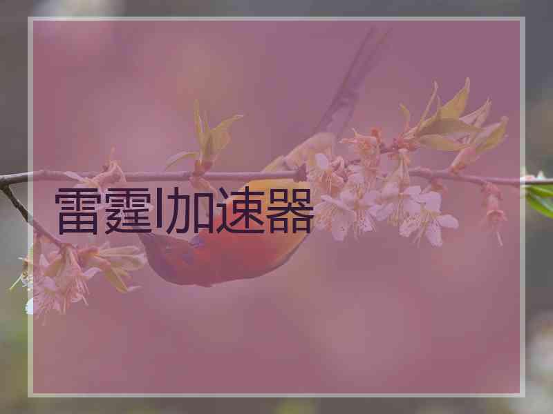 雷霆l加速器