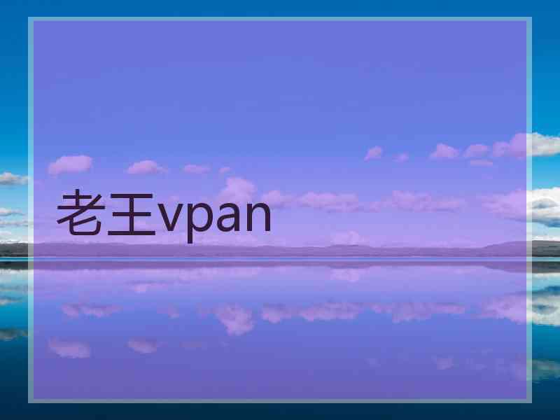 老王vpan