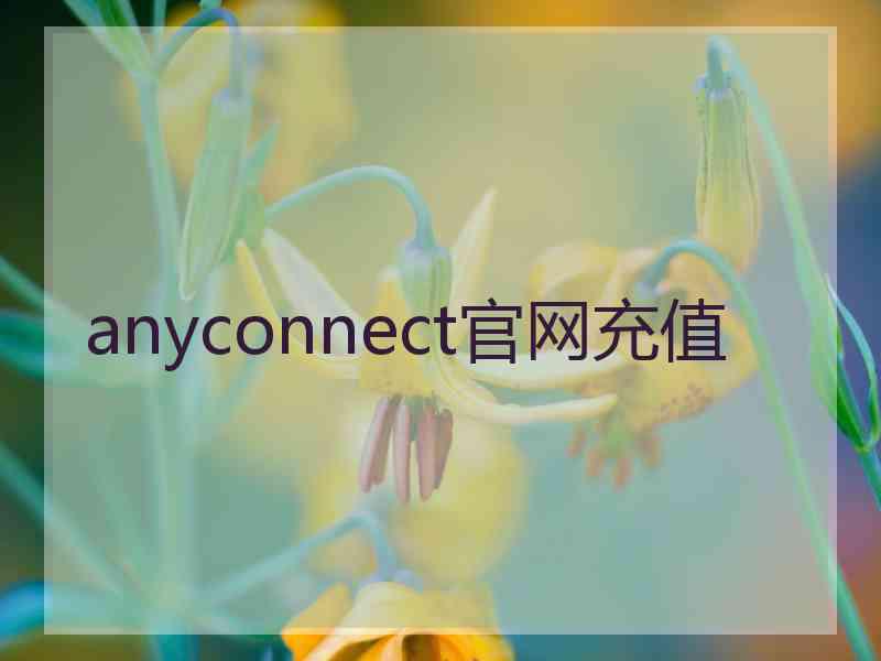 anyconnect官网充值