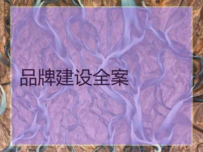 品牌建设全案