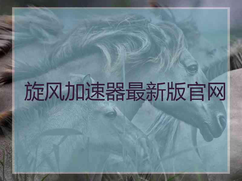 旋风加速器最新版官网