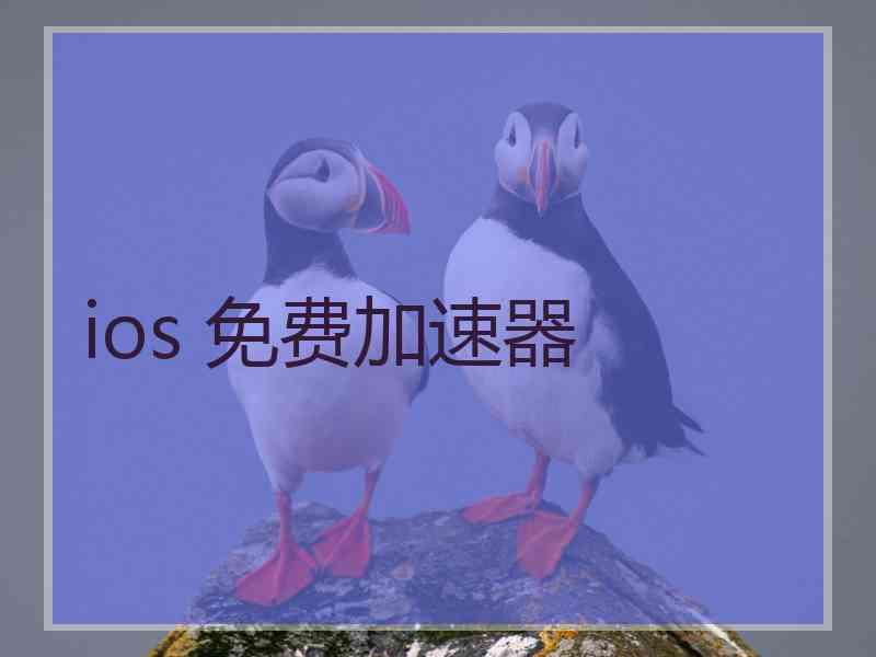 ios 免费加速器