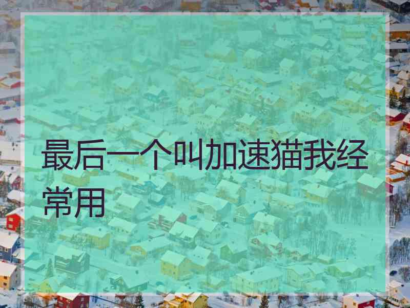 最后一个叫加速猫我经常用