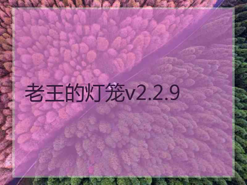 老王的灯笼v2.2.9