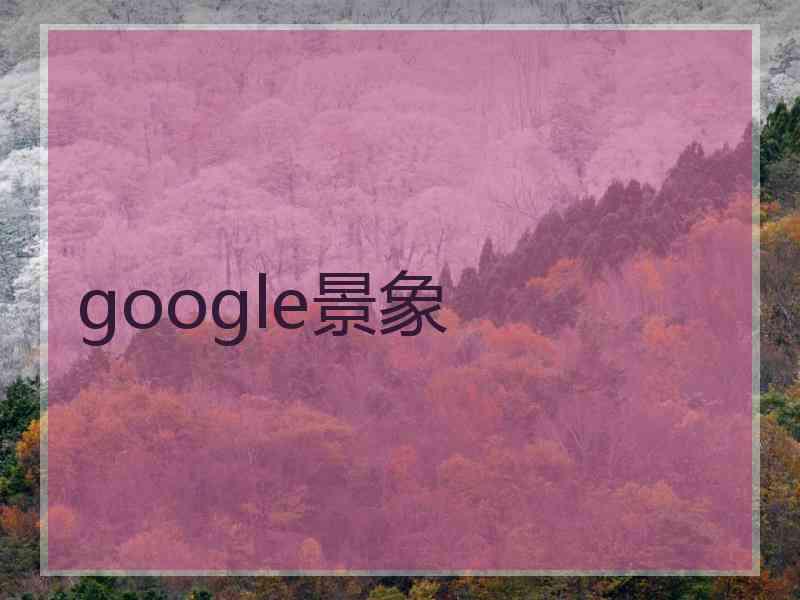 google景象