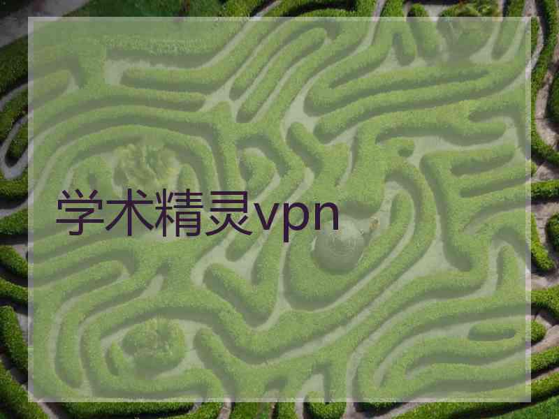 学术精灵vpn