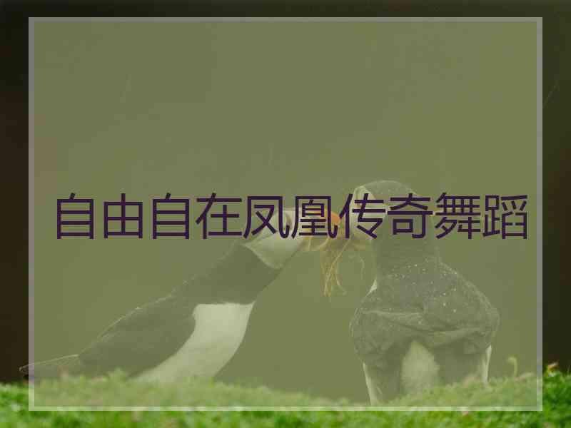 自由自在凤凰传奇舞蹈