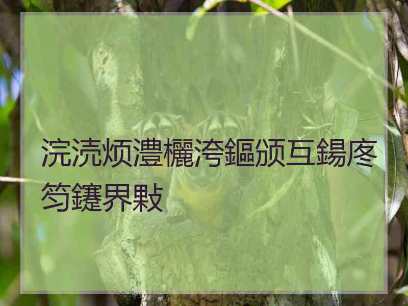 浣涜烦澧欐洿鏂颁互鍚庝笉鑳界敤